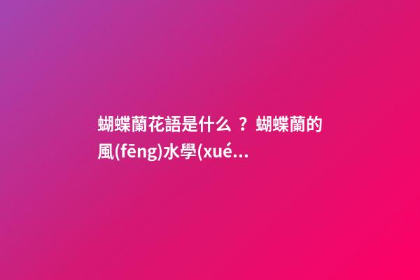 蝴蝶蘭花語是什么？蝴蝶蘭的風(fēng)水學(xué)應(yīng)用